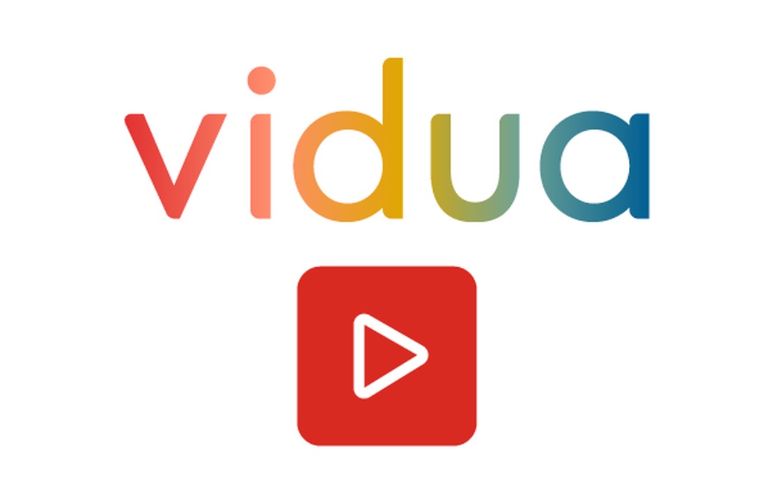 Introductie Vidua